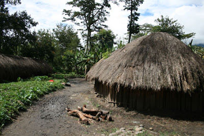 Bangunan Rumah Adat Papua Bangunan Rumah Adat Papua