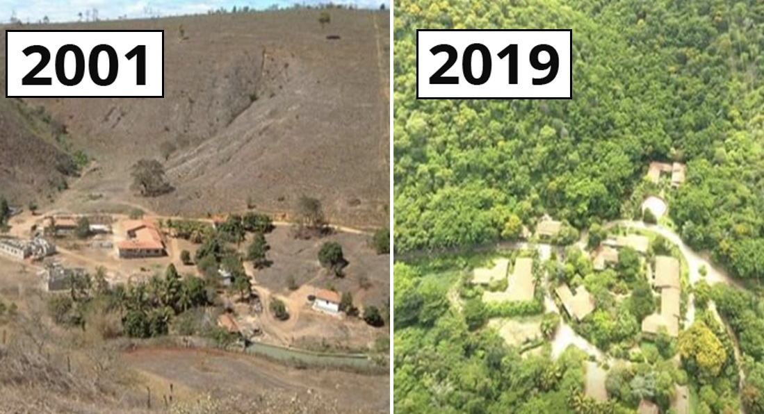 Incredible Pictures Of 20-Year Reforestation Project Of More Than 2.7 Million Trees