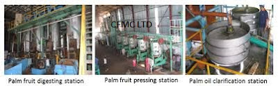 FEASIBILITY STUDY ON PALM OIL PRODUCTION IN NIGERIA PALM OIL PRODUCTION FEASIBILITY STUDY