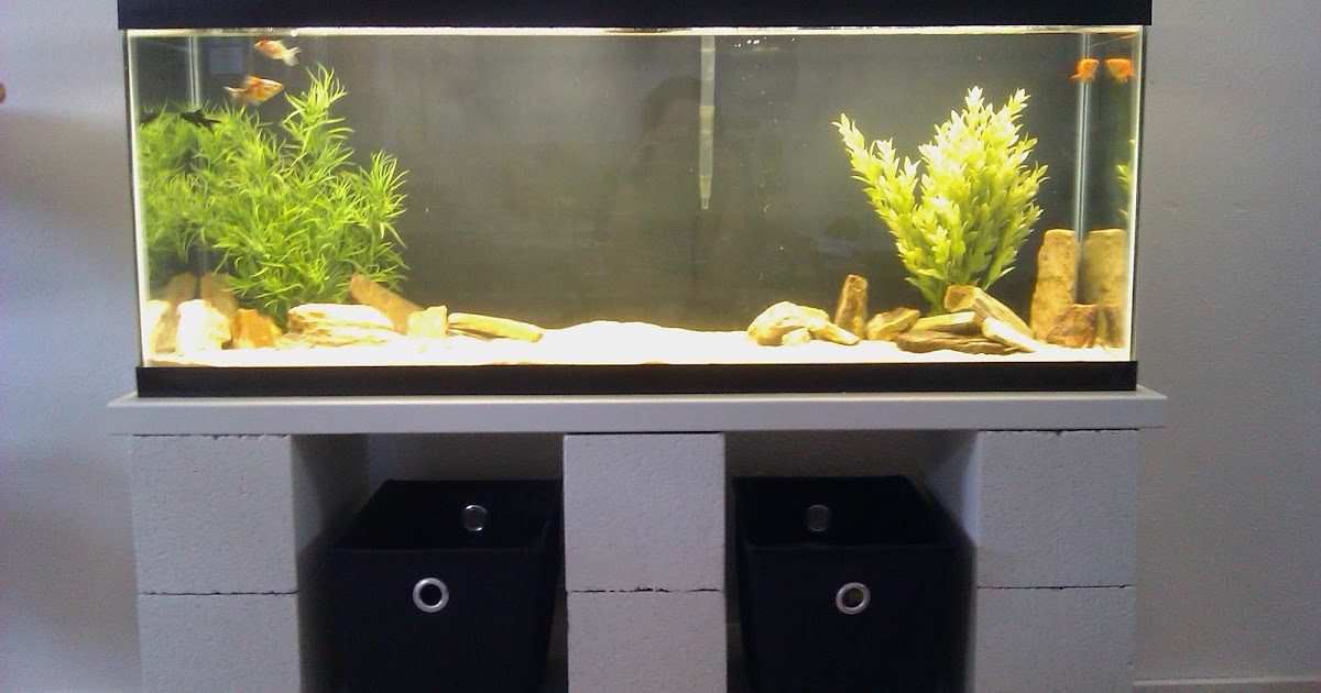 Simple Kitchen 5 Pink Aspen Projects: DIY Cinder Block Aquarium Stand