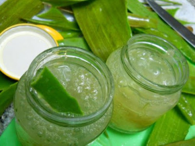 4 Crèmes faites maison à l'aloe vera que vous ne devriez pas manquer 4 Crèmes faites maison à l'aloe vera que vous ne devriez pas manquer