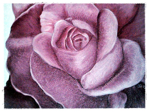 Pretty in Pink Rose Oil Painting