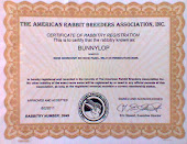 Certificate Rabbitry