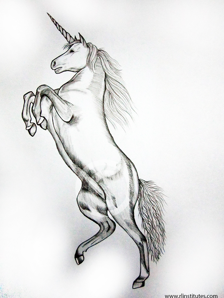 And here is a tutorial on how to draw unicorn horns Pencil Drawings Unicorn...