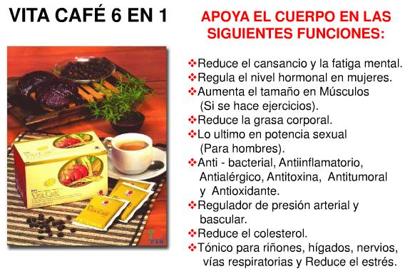 VITA CAFÉ DXN - Mezcla de ginseng, longifolian de Eurycoma VITA CAFÉ DXN - Mezcla de ginseng, longifolian de Eurycoma
