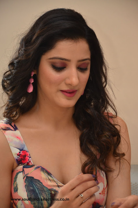 Richa Panai at Rakshaka Bhatudu Movie Pre Release