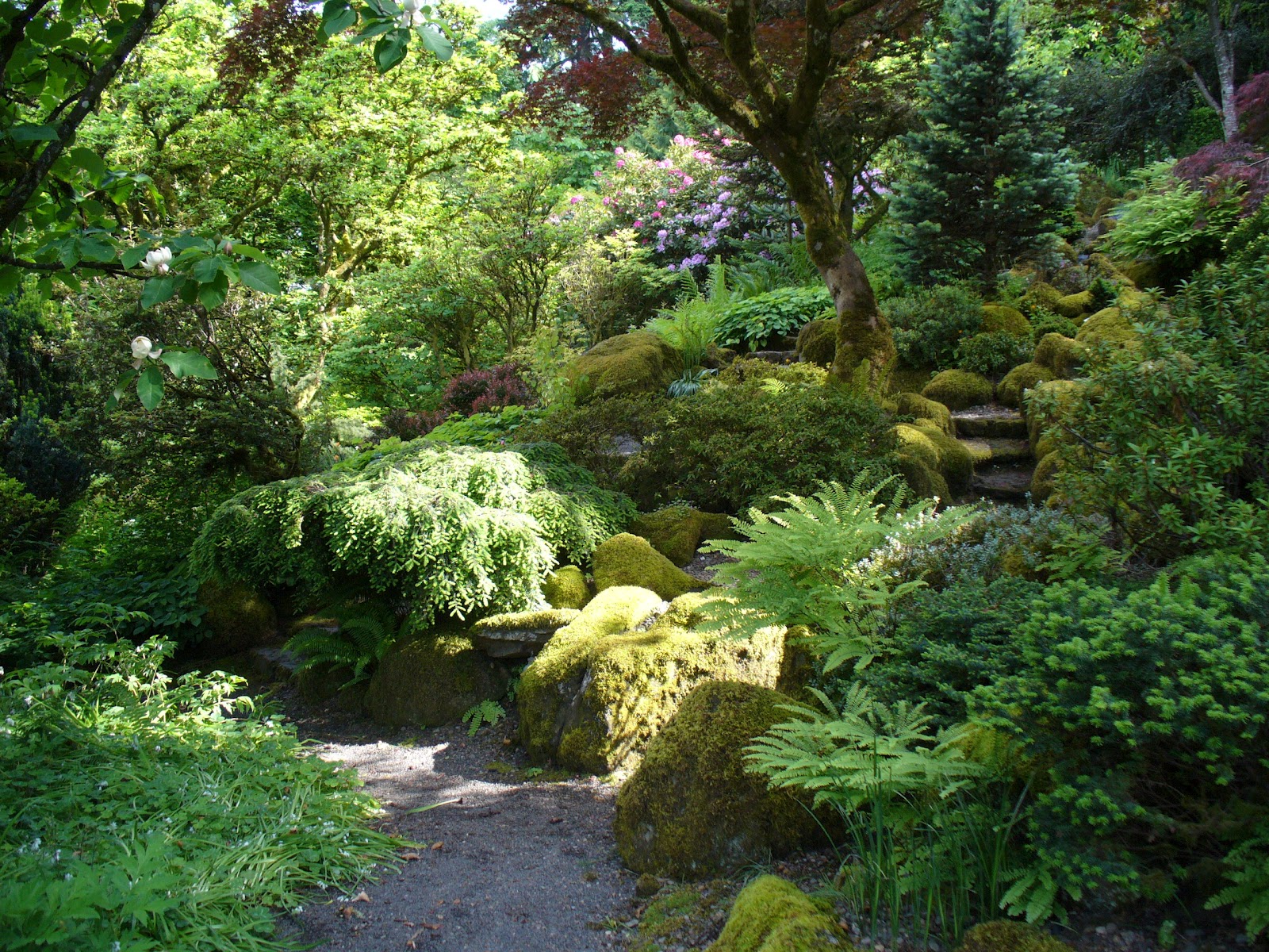 Something Green Plant Something Oregon Something Green Plant Something Oregon