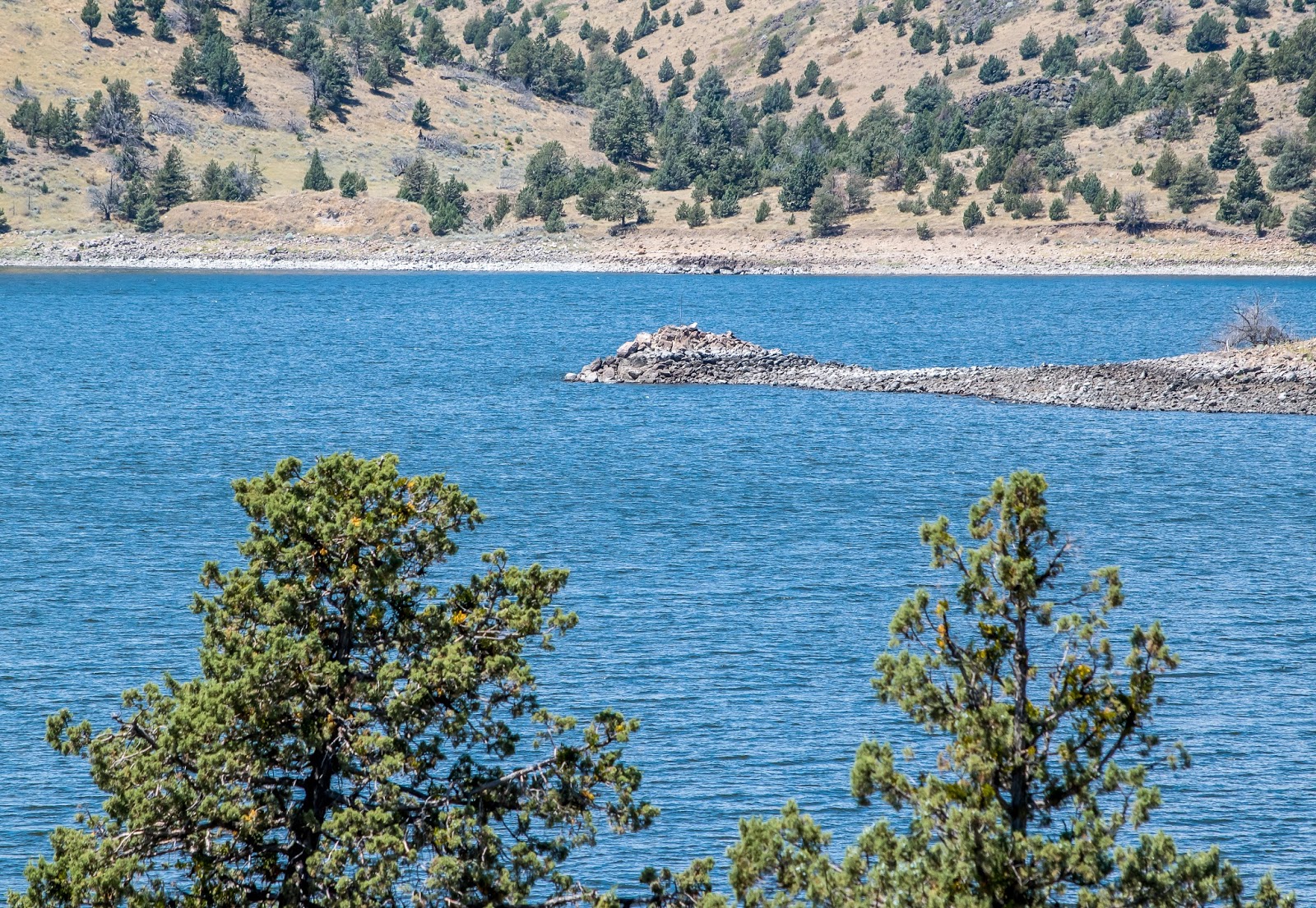 Northern California Travel and Living Picturesque Lake Shastina