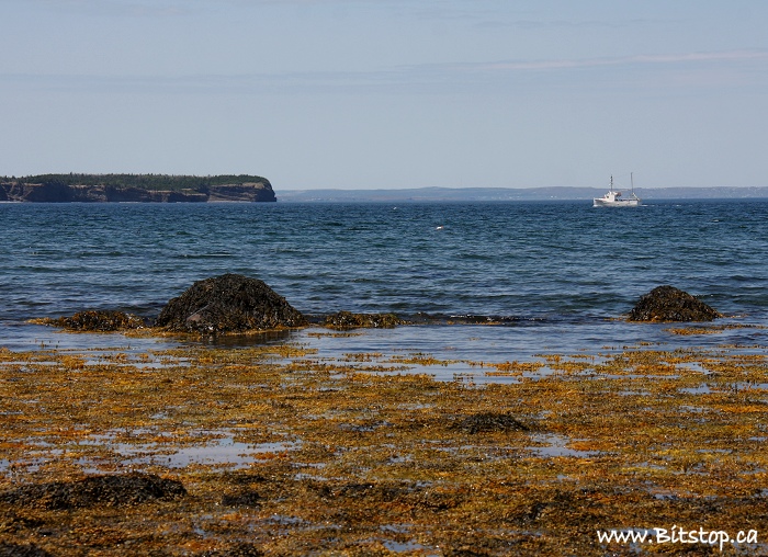 Bitstop On a Beach in Conception Bay South