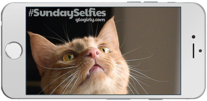 GLOGIRLY: #SundaySelfies - What Color is Your Kitty Smile?