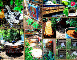 funky chicken austin farm neighborhood coop tour link patchwork farms urban