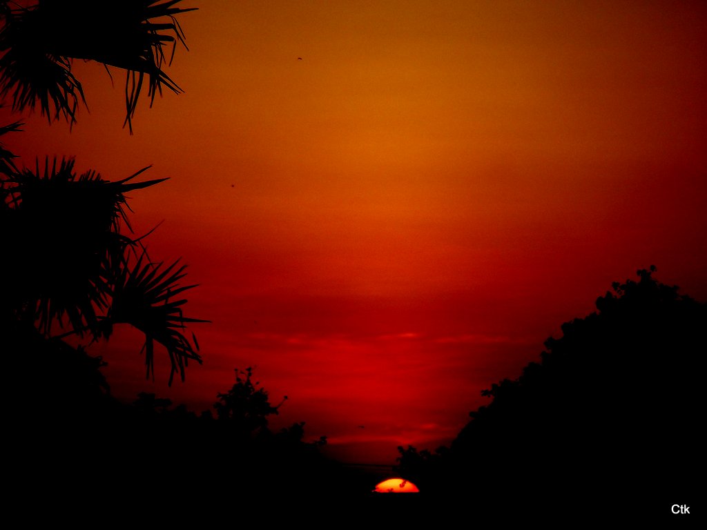 DSCF2972.JPG