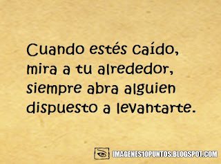 frases de querer frases de querer