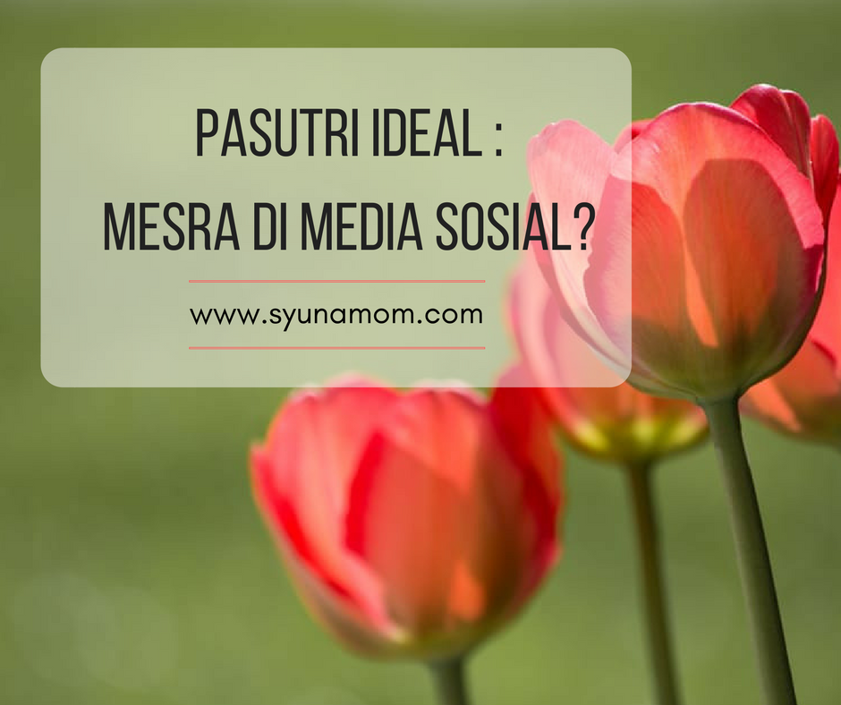 Pasutri Ideal : Mesra Di Media Sosial?  Blog Mama Syuna 