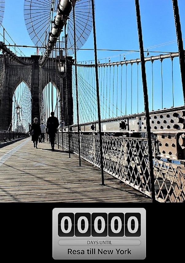 Nu reser jag till New York!