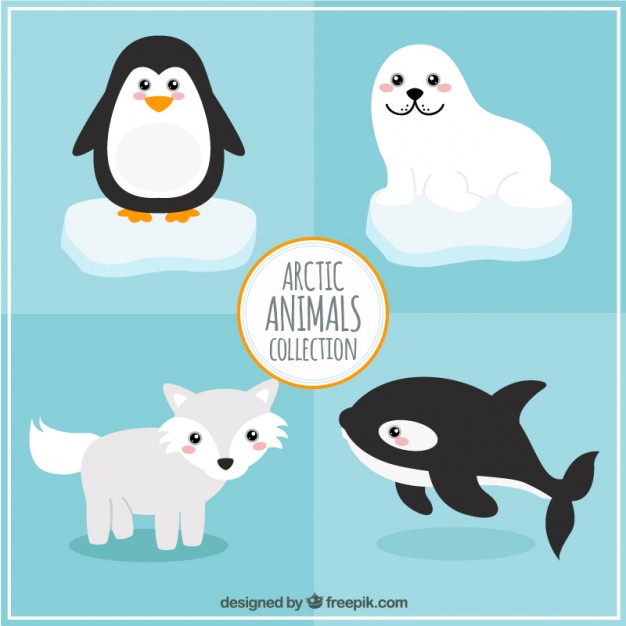 Arctic animals collection Free Vector