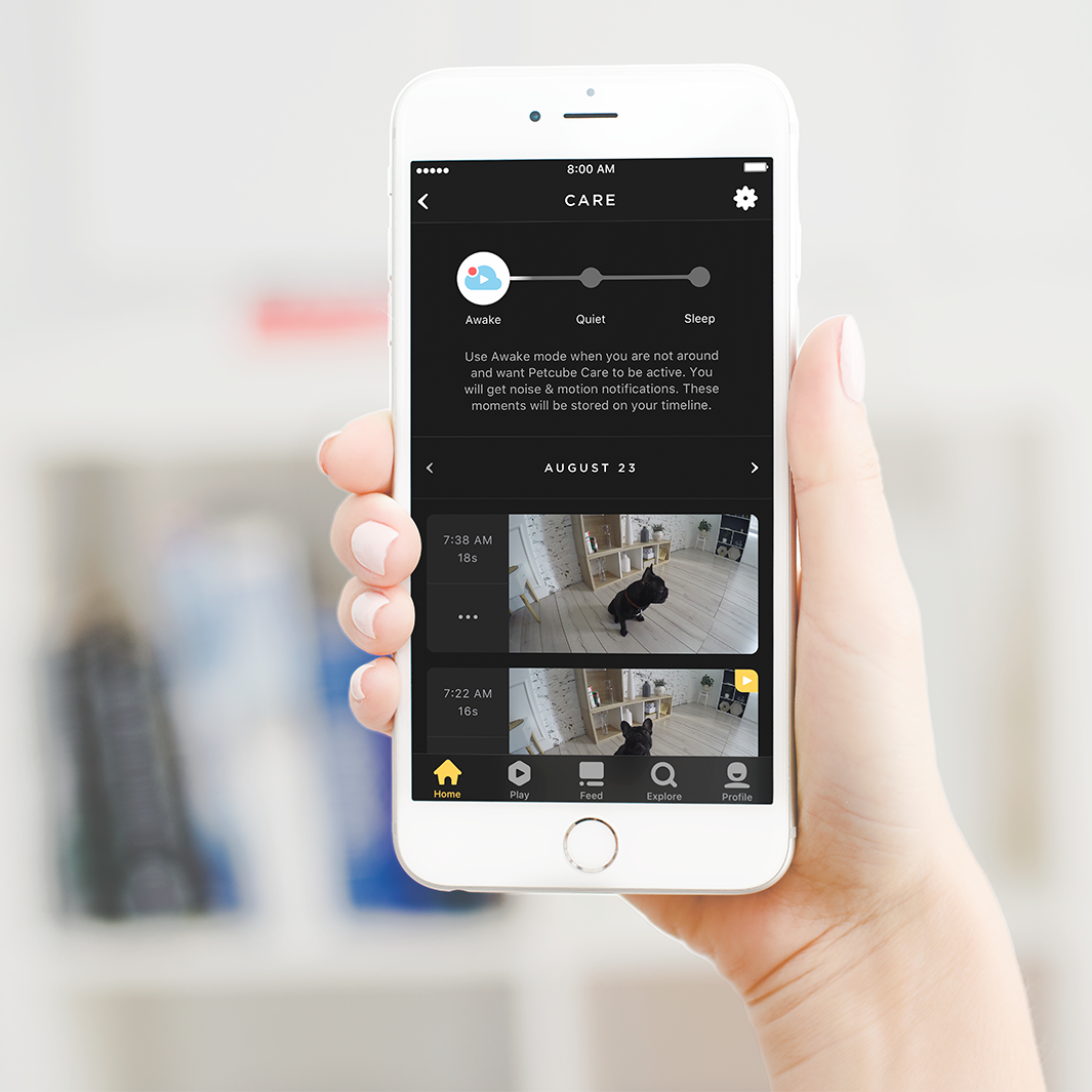 Petcube Camera WiFi Pet Monitoring Review