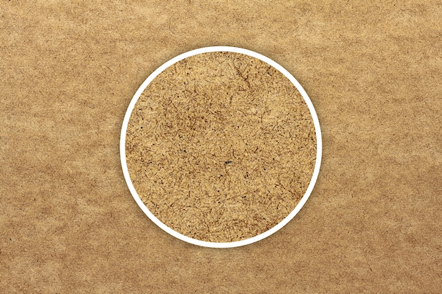 Wood, Ply, Macro, 3888 x 2592