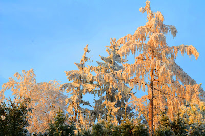 Winter, mùa đông, tél, dimër, zima, зима, 冬季, talv, talvi, Winter, mùa đông, tél, dimër, zima, зима, 冬季, talv, talvi, hiver, χειμώνας, inverno, ウィンター, ziema, žiema, iarnă, зима, vinter, zimné, invierno, zimní, kış, tél,