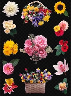 flower background images
