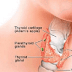 Heal The Thyroid With Coconut Oil