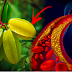 Do You Know This Fruit? It Controls Diabetes, Lowers Cholesterol, Fights Hypertension