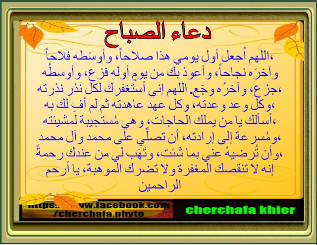 29+ فوائد ورق الغار للزواج Pics