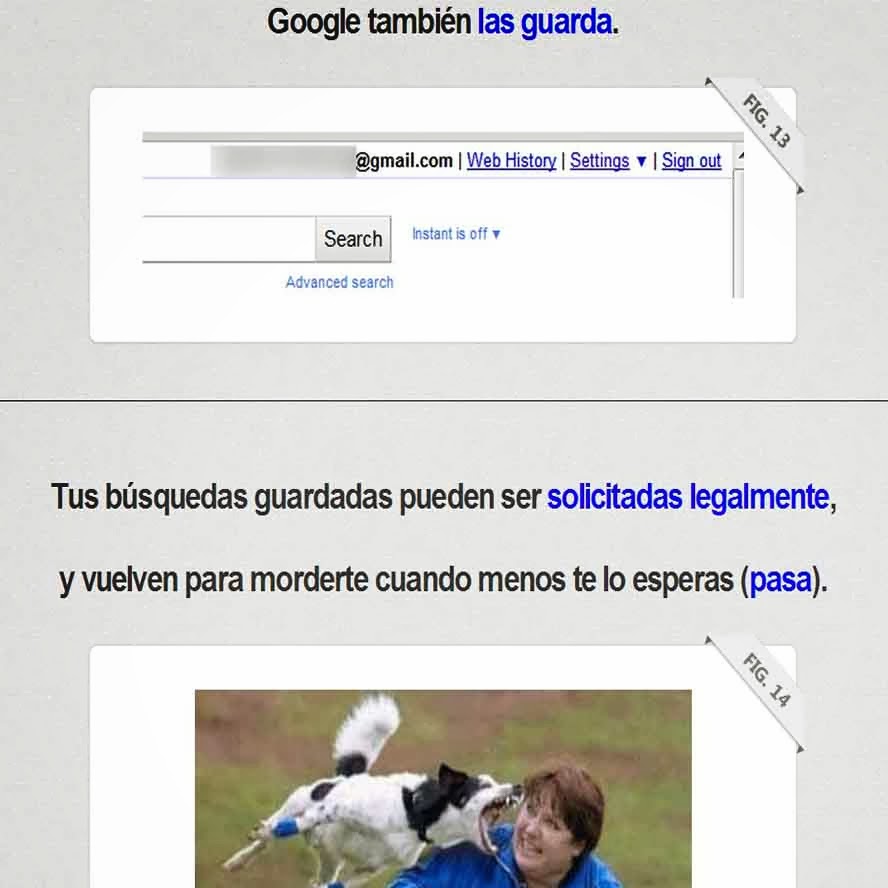 Google Te Esp a Cada D a ALTERNATIVAS ZONA VIVA google-te-esp-a-cada-d-a-alternativas-zona-viva