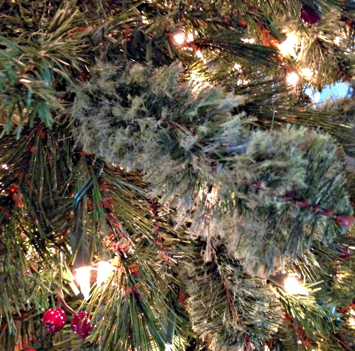 Home on Hidden Oaks On the second day of Christmas...