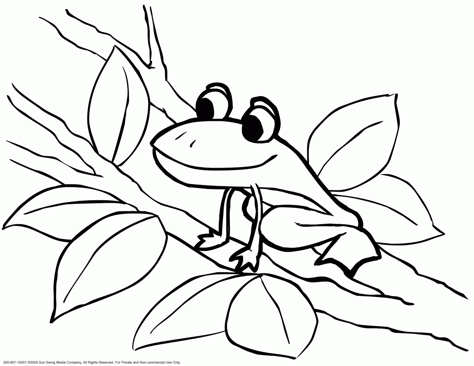 Ausmalbilder Frosch Kostenlos Ausmalbilderhq Ausmalbilder Frosch Kostenlos Ausmalbilderhq
