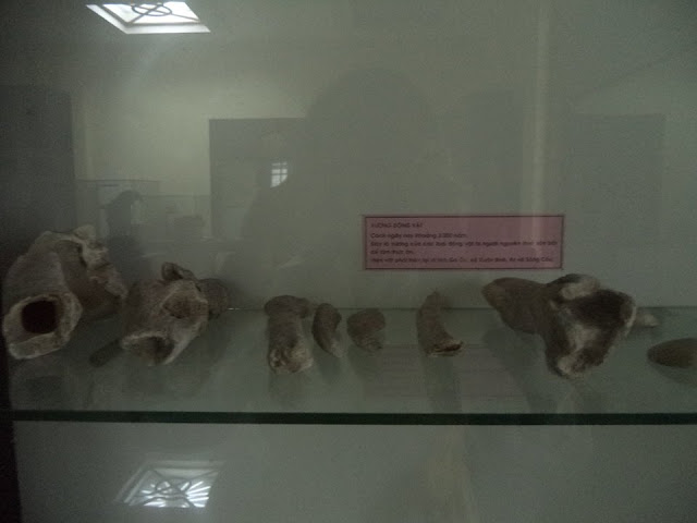 Mẫu xương hàng nghìn năm tuổi ở di chỉ Gò Ốc