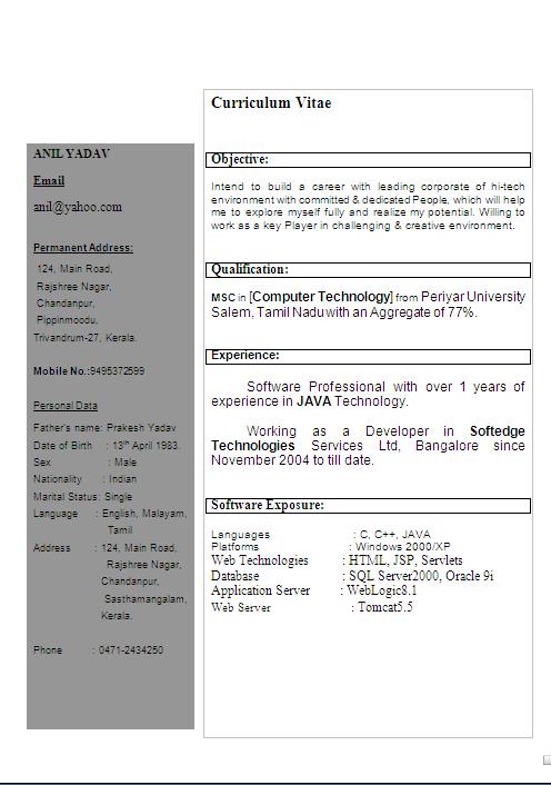resume template with professional summary