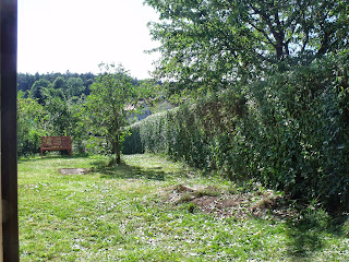 Nordhecke nach dem Schnitt (c) by Joachim Wenk Nordhecke nach dem Schnitt (C) by Joachim Wenk