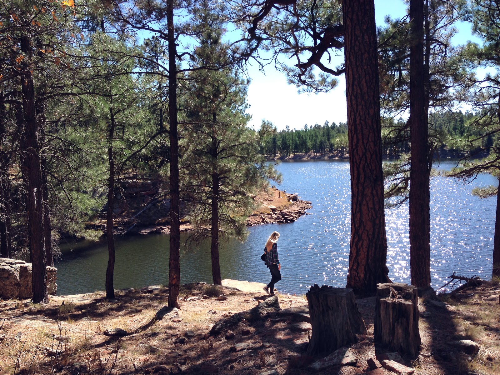 Made To Create Mogollon Rim
