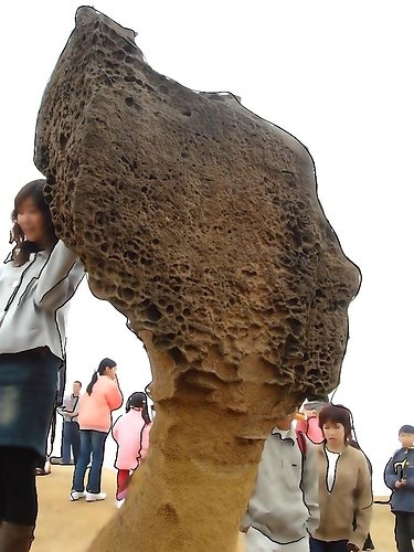 野柳地質公園|野柳風景特定區|北海岸一日遊|新北萬里景點