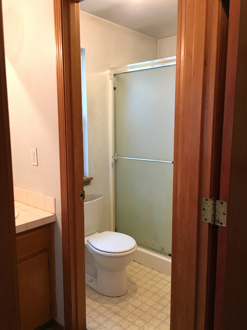 Our master bath reno begins!!!! Two competing design inspirations