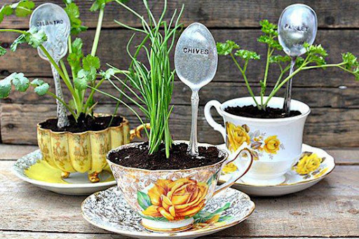 Garden design using thrift back yard pictures; small yard design; small backyard design ideas; backyard design ideas for kids; backyard ideas; small backyard designs; small front yard design; small yard ideas; small yard landscaping; small backyard design; small yard design ideas; small landscape design; small garden design; small backyard design on a budget; small backyard landscaping ideas; backyard ideas on cheap budget; backyard ideas on a budget; diy backyard design; diy backyard ladnscaping; diy backyard photos; diy small backyard design; backyard ideas diy; yard design on a budget; small backyard on a budget; backyard ideas cheap; cheap landscaping ideas for backyard; cheap backyard design ideas; cheap diy backyard ideas
