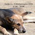 Ιωάννινα:Ημερίδα Με Θέμα Τη Διαχείριση Των Αδέσποτων Ζώων & Της Κακοποίησης Των Ζώων Συντροφιάς