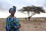 Wangari e as árbores da paz