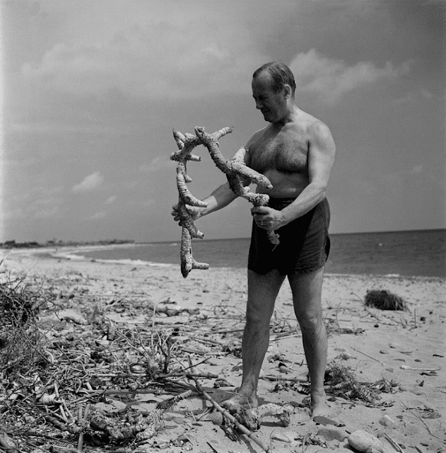 Simple Things on the Beach | Joan Miro, 1931-55