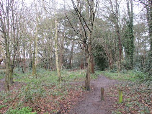 Remains of Backhouse Holgate Garden