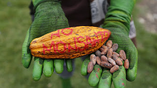 Monsanto se enfrenta a un juicio por crímenes de lesa humanidad