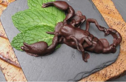 Παράξενες σοκολατένιες λιχουδιές!
