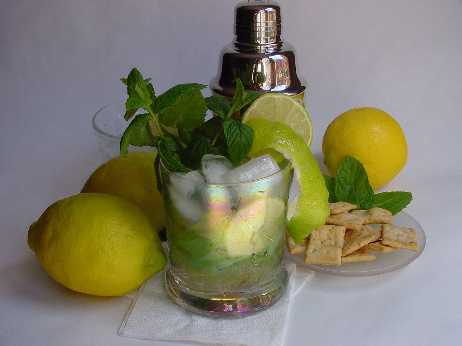 Jardineria Eladio Nonay MOJITO (Jardinería Eladio Nonay)