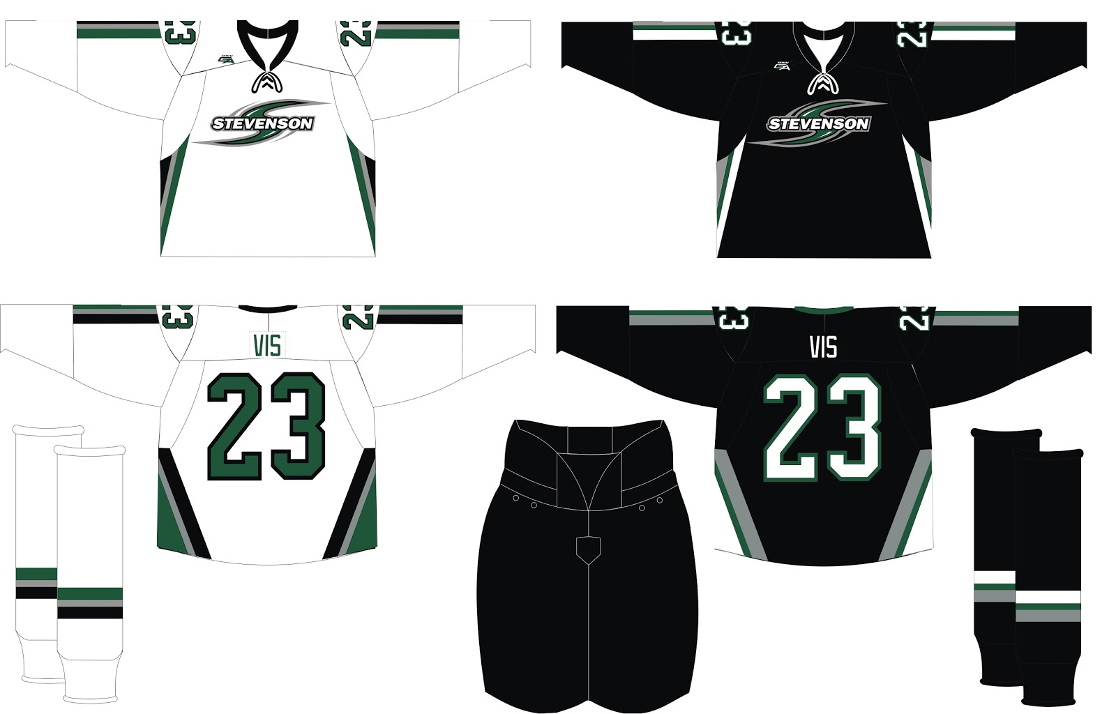 Stevenson University Women's Ice Hockey