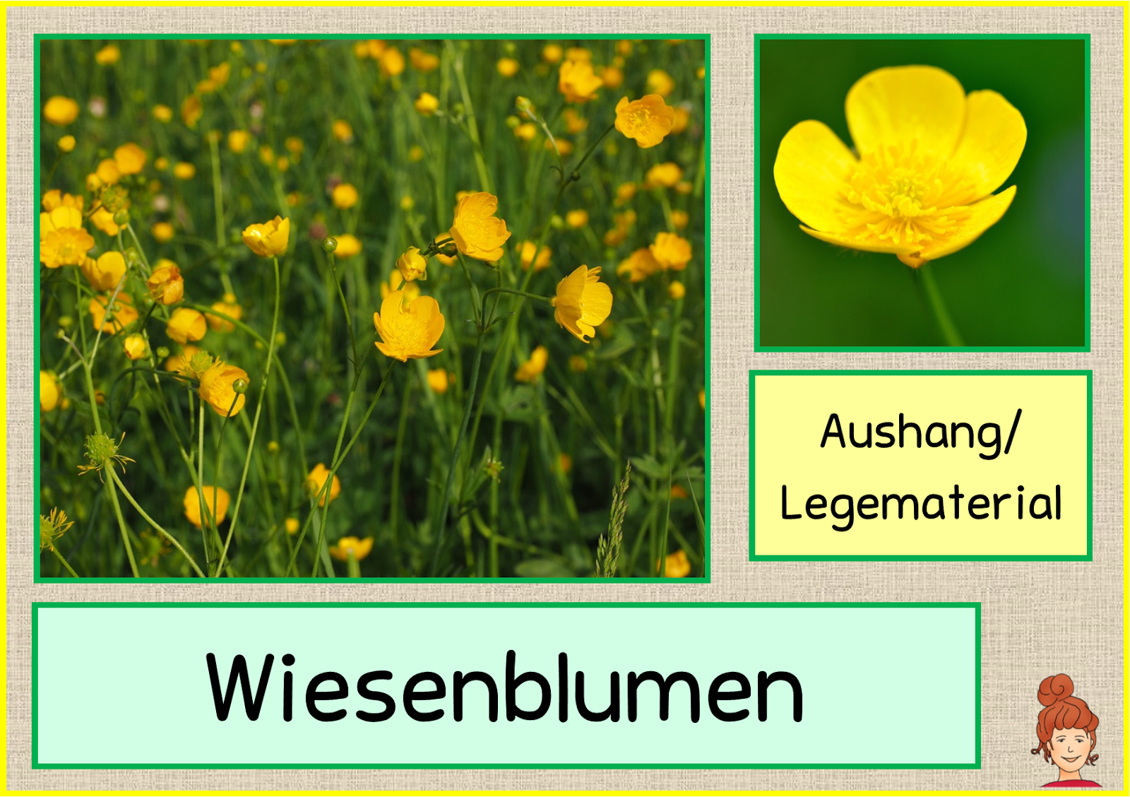 Frau Locke: Wiesenblumen Aushang/Legematerial