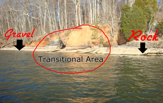 Transitional Area catfishingtv: Transitional areas