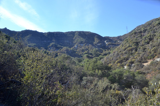 Gidney Ridge