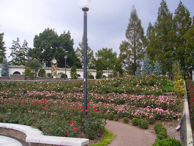 兵庫県伊丹市・荒牧バラ公園