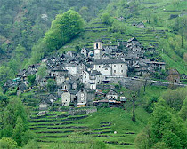 Corippo